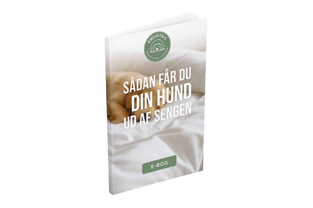 Sådan får du din hund ud af sengen